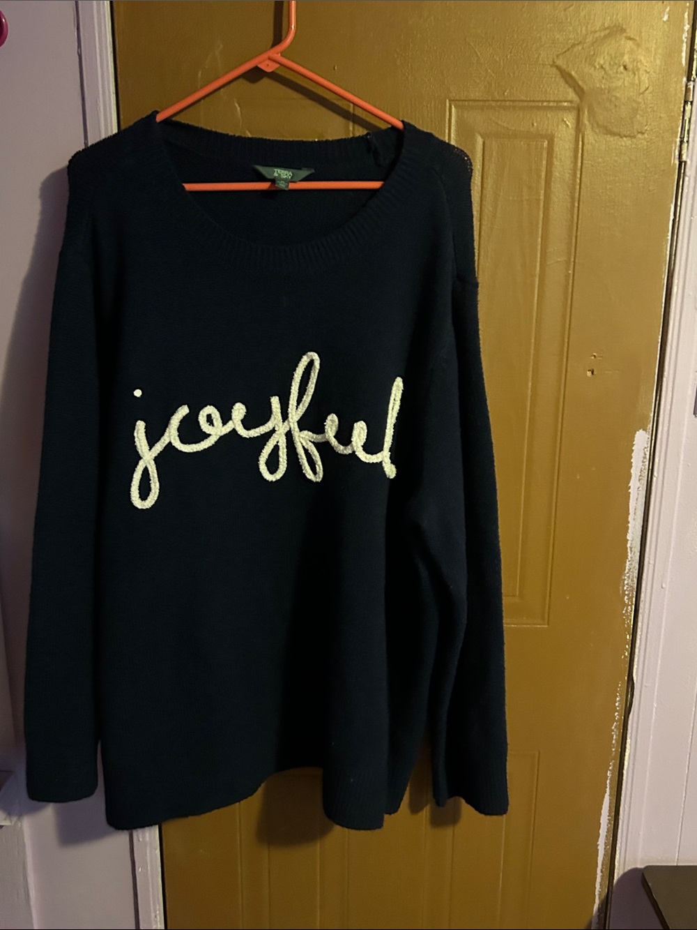 Terra & Sky Navy Sweater with Metallic 'joyful' Script